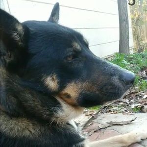 Meet your Posher, Tracy